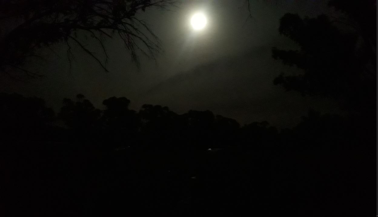 Full Moon Tarlee.JPG