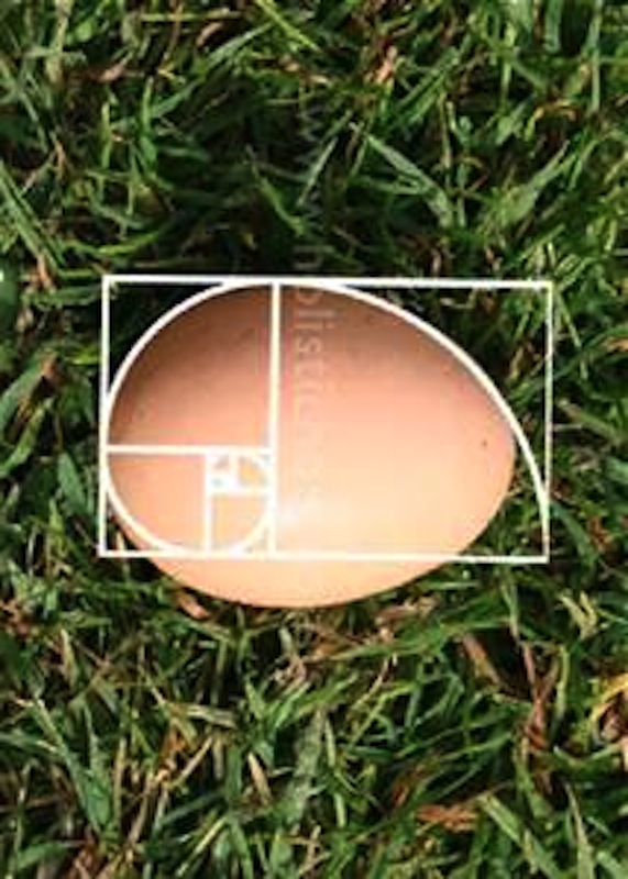 Fibonacci egg.jpg