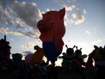 pig balloon