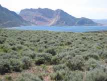 Flaming Gorge - Lower Section
