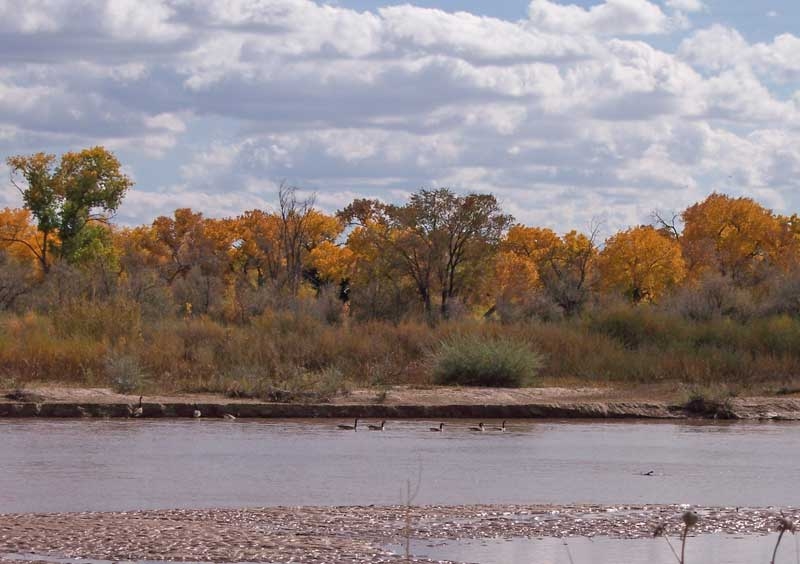 Fall along the Rio Grande