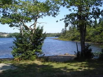 View of the lake coming from the site