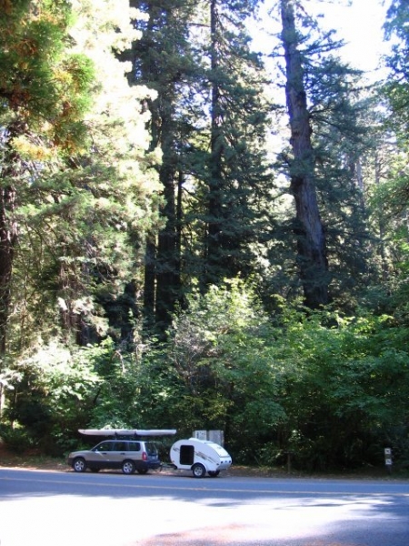 Oregon / California fall camping - Redwoods N.P.