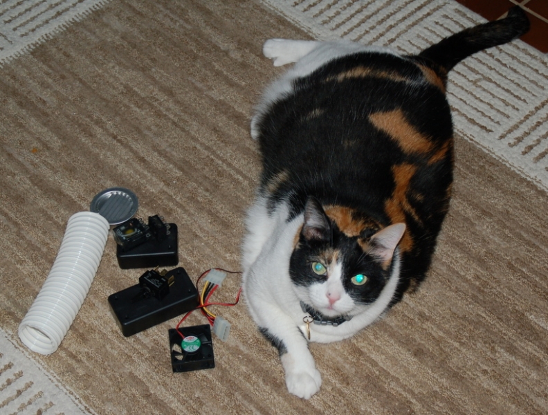 Paige is Helping with Photo of Cooling Fan Parts