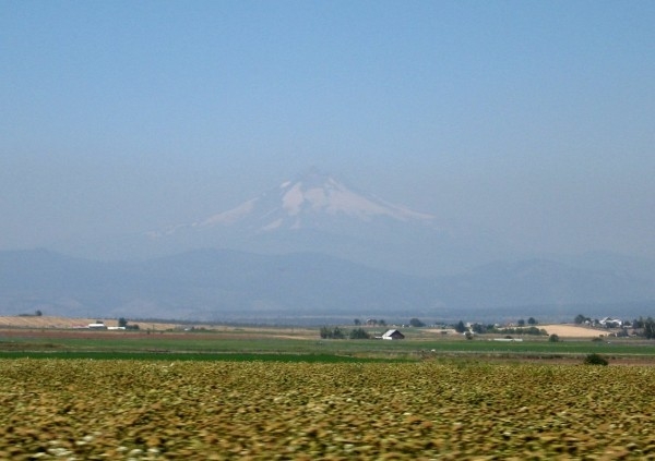 Mt Washington, Oregon