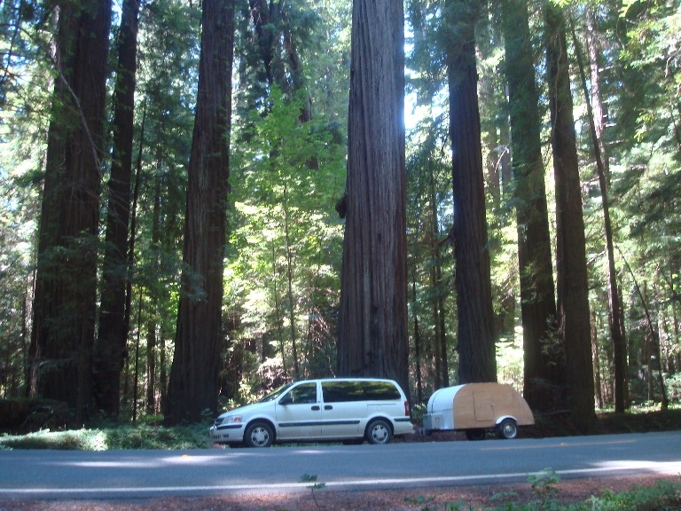 Addie and the Cherry Drop with those BIG trees