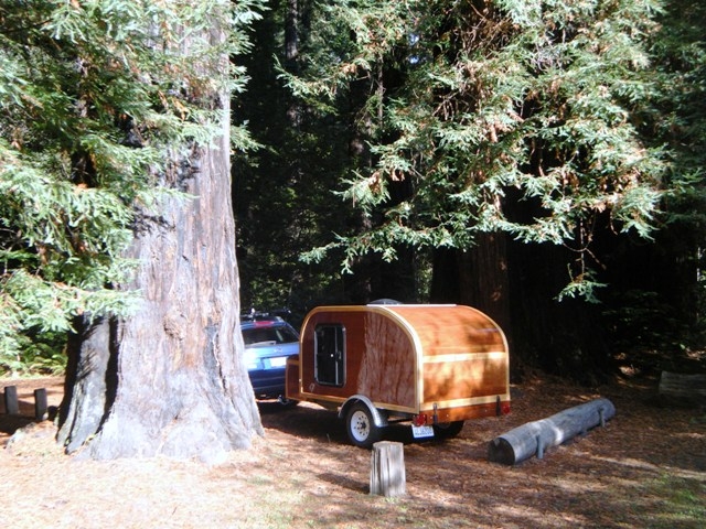 Under the redwoods