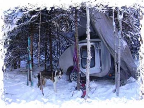 Skijoring camp