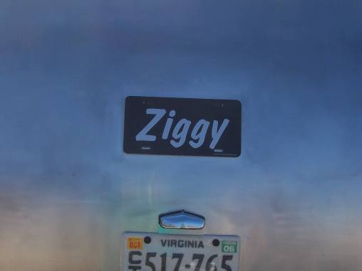 Ziggy