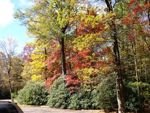 Crabtree Picnic Area