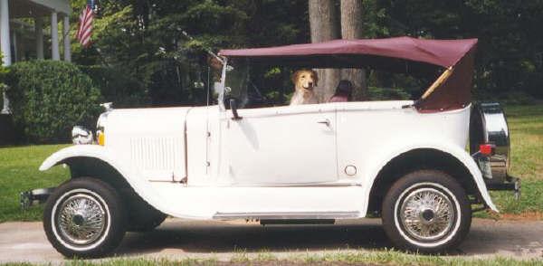 My beloved Golden Retriever. She loved going for a ride.