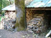 Firewood for one winter
