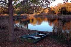 Oklahoma Farm Pond