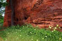 Red Rock Canyon 5/8/2010