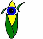 corn eye