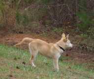 Samantha checks Her Yard