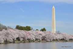 Washington Monument