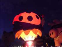 Lady bug on a sunflower baloon glow