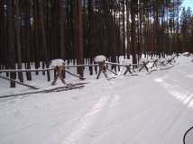 Snow covered fence in forest