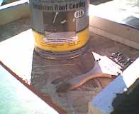 roof coating