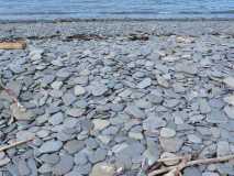 rocky beach