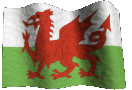 Welsh Flag