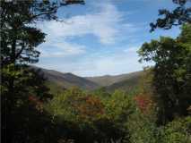 Cherokee National Forest