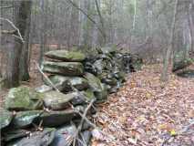 Rock wall old homesite