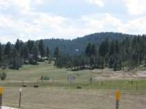 Black Hills