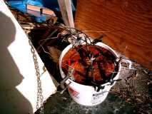 5 gallon bucket electrolysis