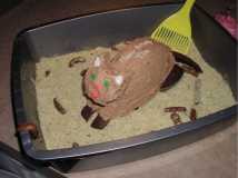 Kitty litter cake