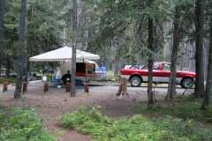 LodgePole