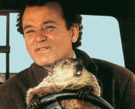 Don't Drive Angry