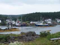 Boats in harbor at Pike's Arm, NL south of Twillingate