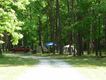 Our camp at Pine Hills NF C/G, IL