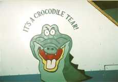 Introducing... The CROCODILE TEAR!