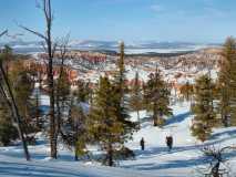 Snowshoeing along the Bryce Canyon rim