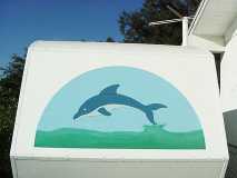 dolphin mural
