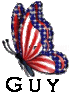 Patriotic Butterfly