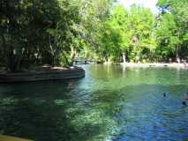 Wekiwa springs Florida