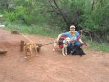 Anna and the hiking hounds!!