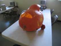 teardrop pumpkin #4