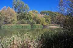 Eastern end shallows at Late Robert's in the Gila National Forest, New Mexico