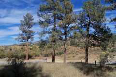 View north from Campsite 4 at Lake Robert's Upper End Campground in the Gila National Forest, New Mexico