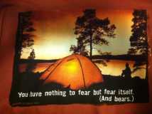 Nothing to Fear - But Bears