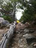 RMNP Artsy Fartsy Shot