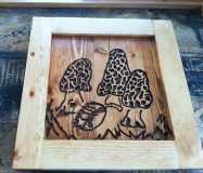 Modified Mushroom Cabinet Door