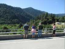 8 Looking down on Pearch Creek Greenery