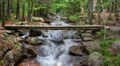 Acadia National Park ME