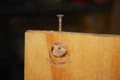 dowel4